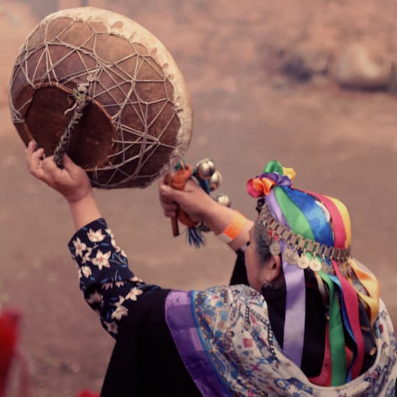 Raíces de la Tierra