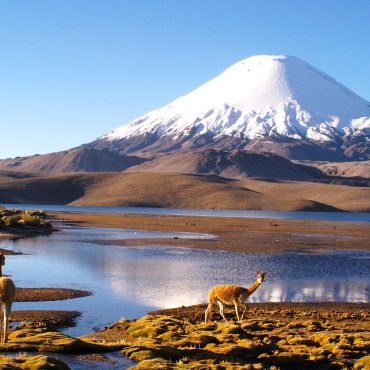 Chile