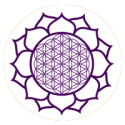 spirall_lotus